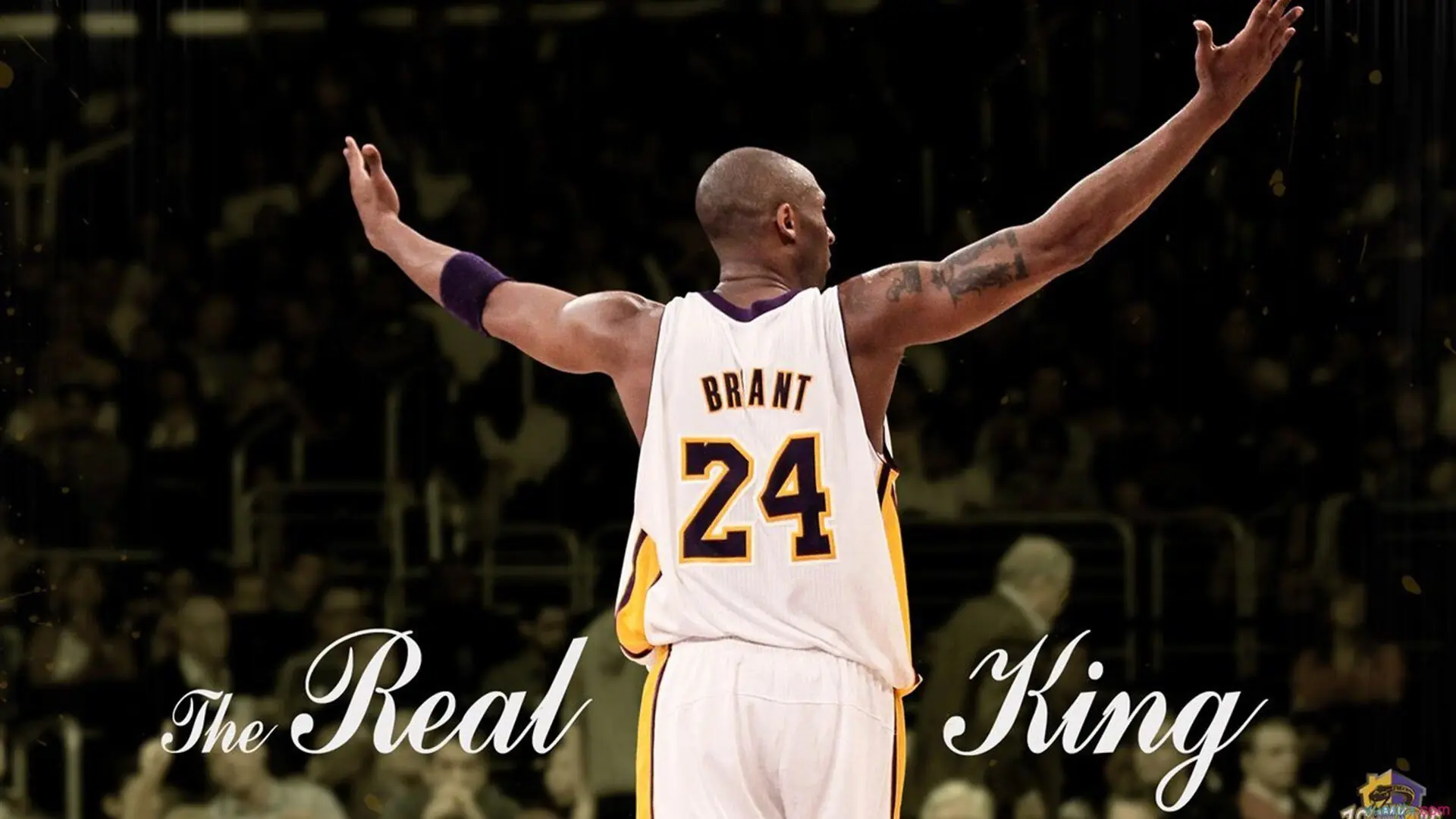 钓鱼大赛：静谧中的激烈比拼，2020钓鱼大赛完整版